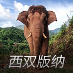 yoboo手机版登录入口黄金网v14.1.1043